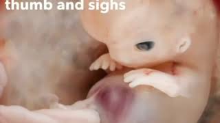 Η ΖΩΗ αρχίζει με τη Γονιμοποίηση (LIFE begins at fertilization)