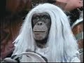Lancelot Link - Secret Chimp