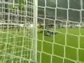Berbatov