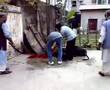 Qurbani Goat 211207