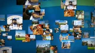 <center><strong>Business Development Video</strong></center>