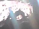 Twist and shout Bruce springsteen sweden gothenb Ullevi 5/7