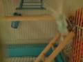 videos de 081226_1800~0001.m4v