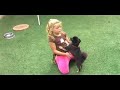 Dogs and Kids