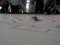 videos de CampusBot 2008 - Rastreadores