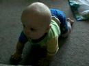 Wyatt