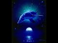 Universal Awakening Universal Awakening