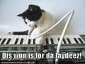 crazy cats part deux