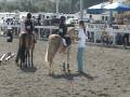 videos de Samantha & Catherine - trot poles