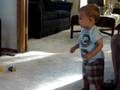 JacksonCV  vs. Tigger!