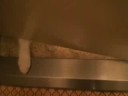 ?Cat\ ?Cat\