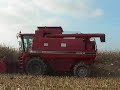 Case IH Axial Flow 2388 au maïs (10 10 08) Case IH Axial Flow 2388 au maïs (10 10 08)