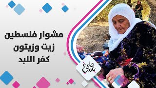 مشوار فلسطين.. زيت وزيتون كفر اللبد - حلوة يا دنيا مشوار فلسطين.. زيت وزيتون كفر اللبد - حلوة يا دنيا