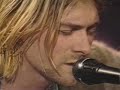 kurt cobain tribute  1994 