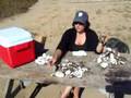 videos de Tomales Bay California Oysters