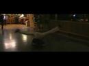 Waldis tricks. I show you some of my martial arts tricks.It's a kind of martial arts and free running.In diesem Clip zeige ich euch ein paar meiner Kampfkunst Tricks. Meine Tricks sind ein mix aus Kampfkunst und free running.