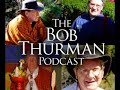 robert thurman: three vehicles #1