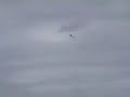 Thinder tiger trainer