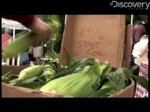 Video -Naider TV- Video -Naider TV-