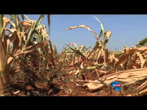 “SA sal mielies moet invoer” / “SA will have to import maize” “SA sal mielies moet invoer” / “SA will have to import maize”