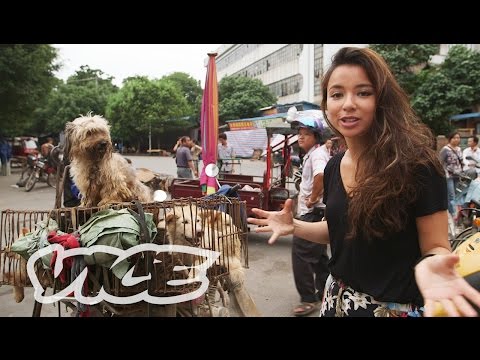 dining - Southern China has always had a tradition of dining on dogs—people from other parts of the country even joke that Southerners will eat anything with legs but...