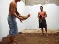 Zagu paan in action.. sabong pinoy.wmv Manele-Gratis.net