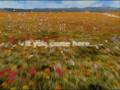 videos de Final Fantasy VIII