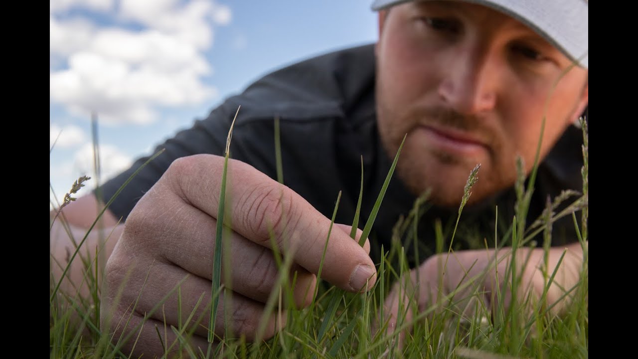 Our Amazing Grasslands ~ Lance Vilhauer | May 2020