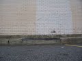 nose slide 180 out nose slide 180 out