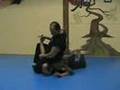 Jujitsu Locks, Atemi Ryu Jujitsu joint locks with striking