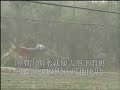 Sprinkle soaker hose, sprinkler, fog making system