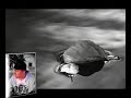 Muten - Limites