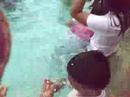 ashlie fildtrip (in the pool!!)