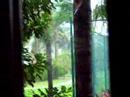 Hurricane Wilma from my window