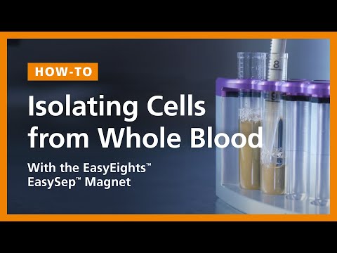 how to isolate blood