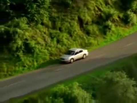 Susto en la carretera