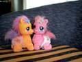 My little Pony - Pinkie Pie + Scootaloo