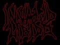 The Ultimate Brutal Death Metal/Goregrind/Porngrind Compilation Part 28