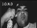 exclusive-sabal-palm-fight.html