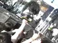 Sinergia - Amor Alternativo Vive latino 2007 Chile