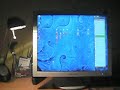 LCD + Polarizer