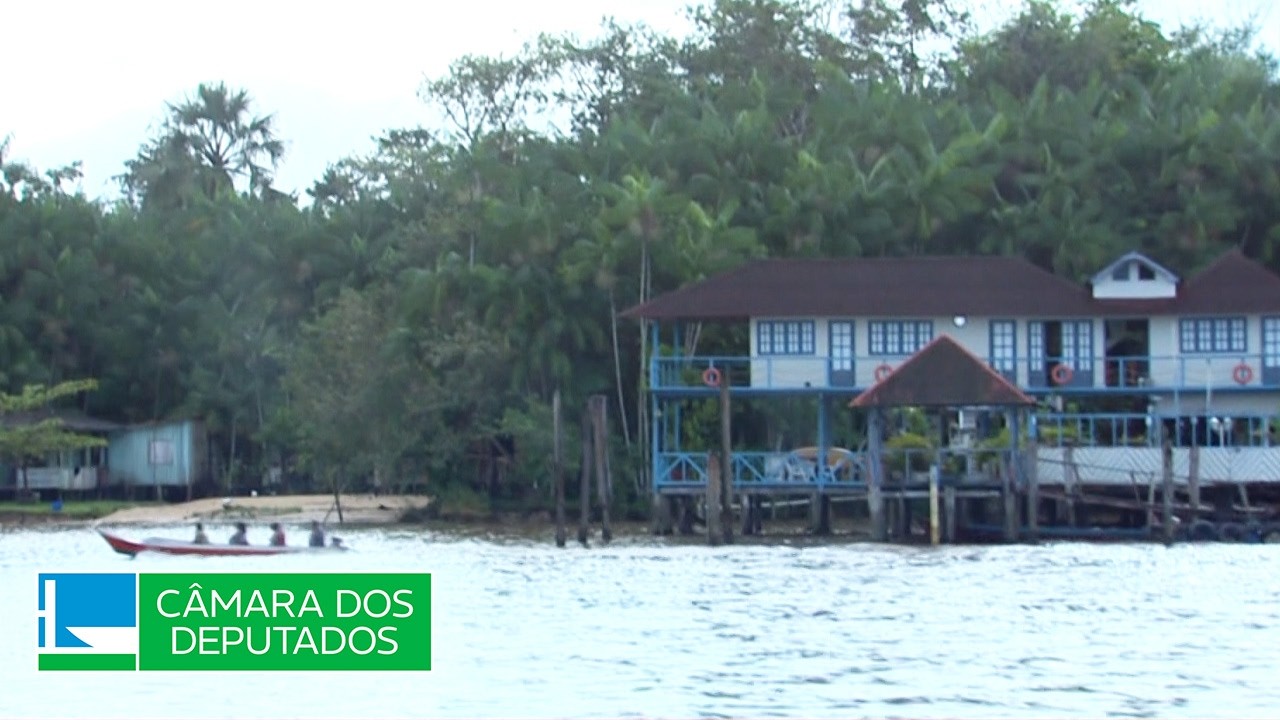 Políticas para a Amazônia terão que levar em conta desafios da região para formação de preços - 25/6