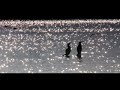 sparkles-birds.wmv sparkles-birds.wmv