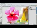 Photoshop Extract espanol