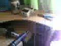Celtia Productions Studio - Battleheart