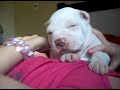 nina\ nina\