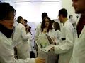 Laboratorio in corso (Parte II)