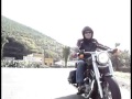 videos de Los Cochinos Mansos 2 - Tenerife
