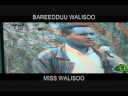 BAREEDDUU WALISOO