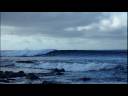 Lliam Smith Surfing to Hardstyle Lliam Smith Surfing to Hardstyle
